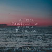 100 Track Compilation for Healing & Mindfulness