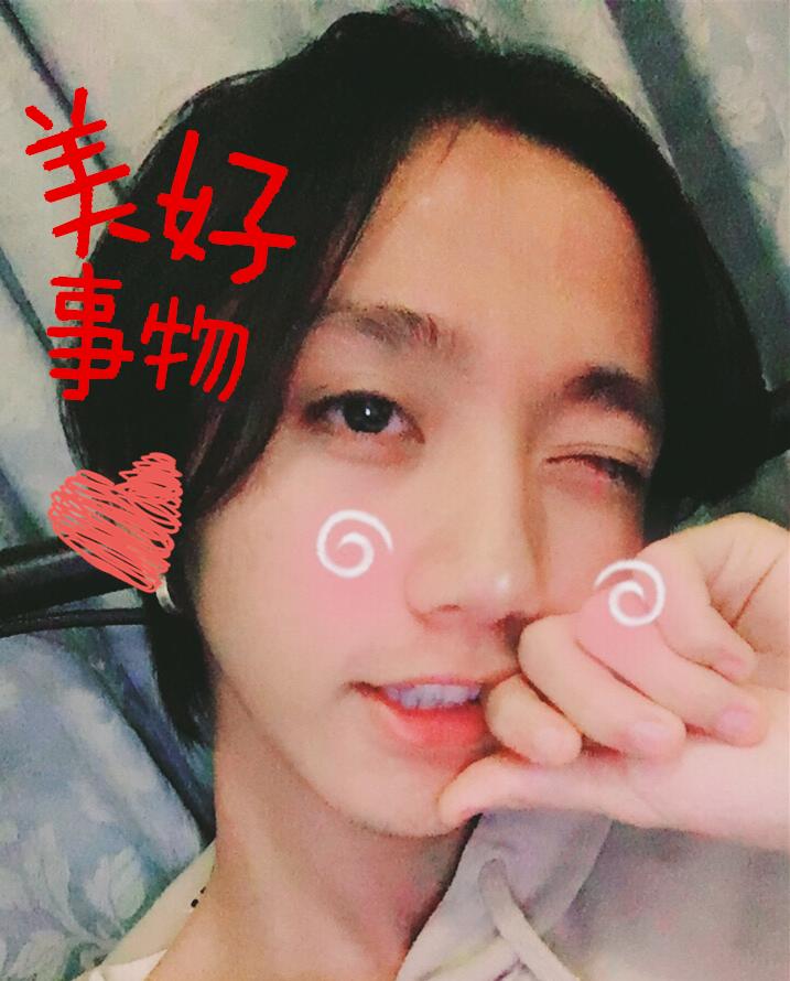 美好事物2017（Cover 房东的猫）封面