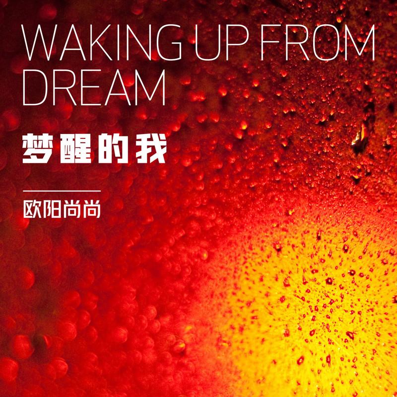梦醒的我 (伴奏) - 欧阳尚尚封面