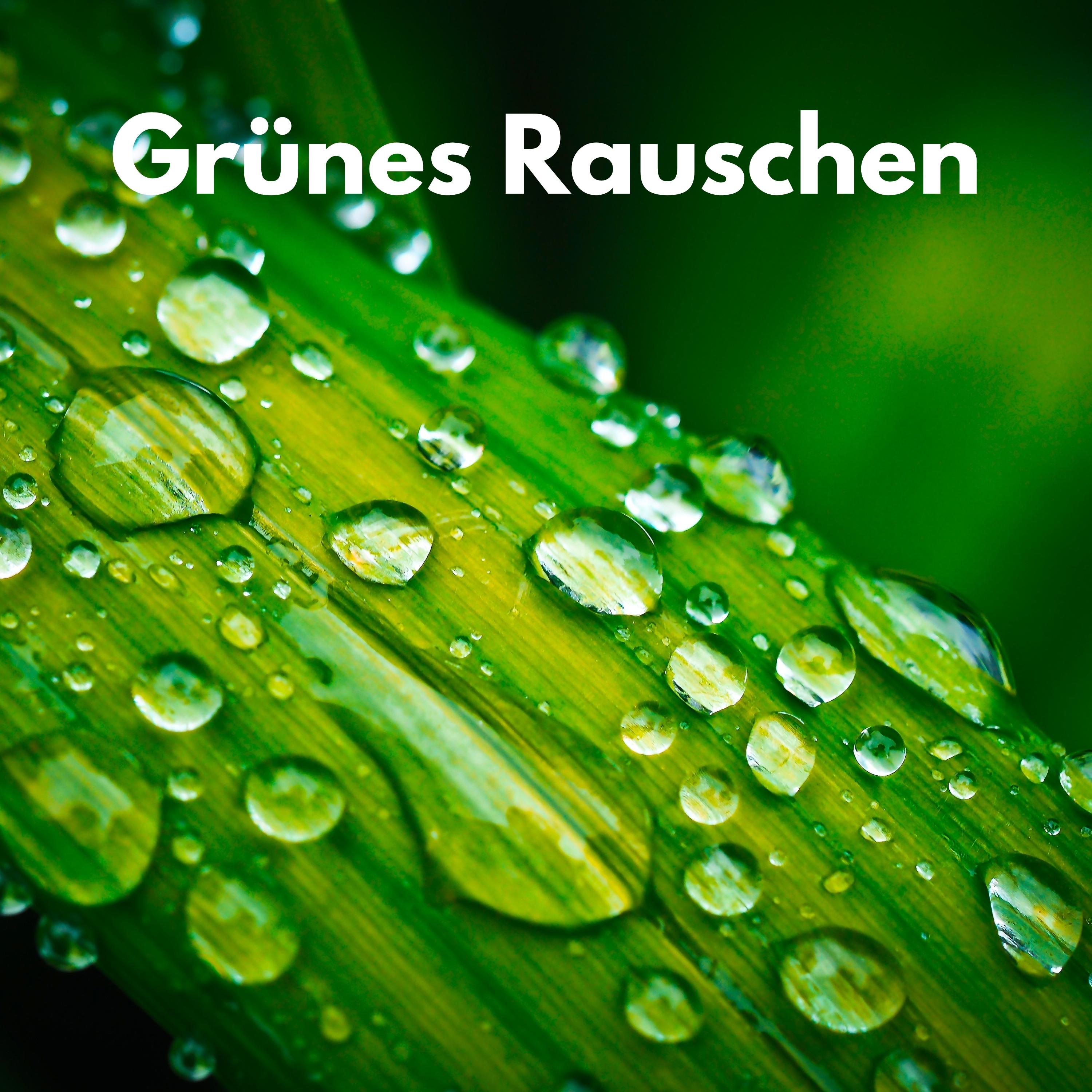 Grünes Rauschen - Mono_Grünes Rauschen_Grünes Rauschen | 在线播放_Grünes Rauschen - Mono歌词_Grünes Rauschen - Mono下载 | 网易云音乐