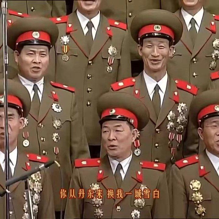 将军の交响曲 《你从丹东来》—但配将军的士兵—\(ಥ᎔ಥ)/\(ಥ᎔ಥ)/封面
