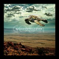 Groovescapes