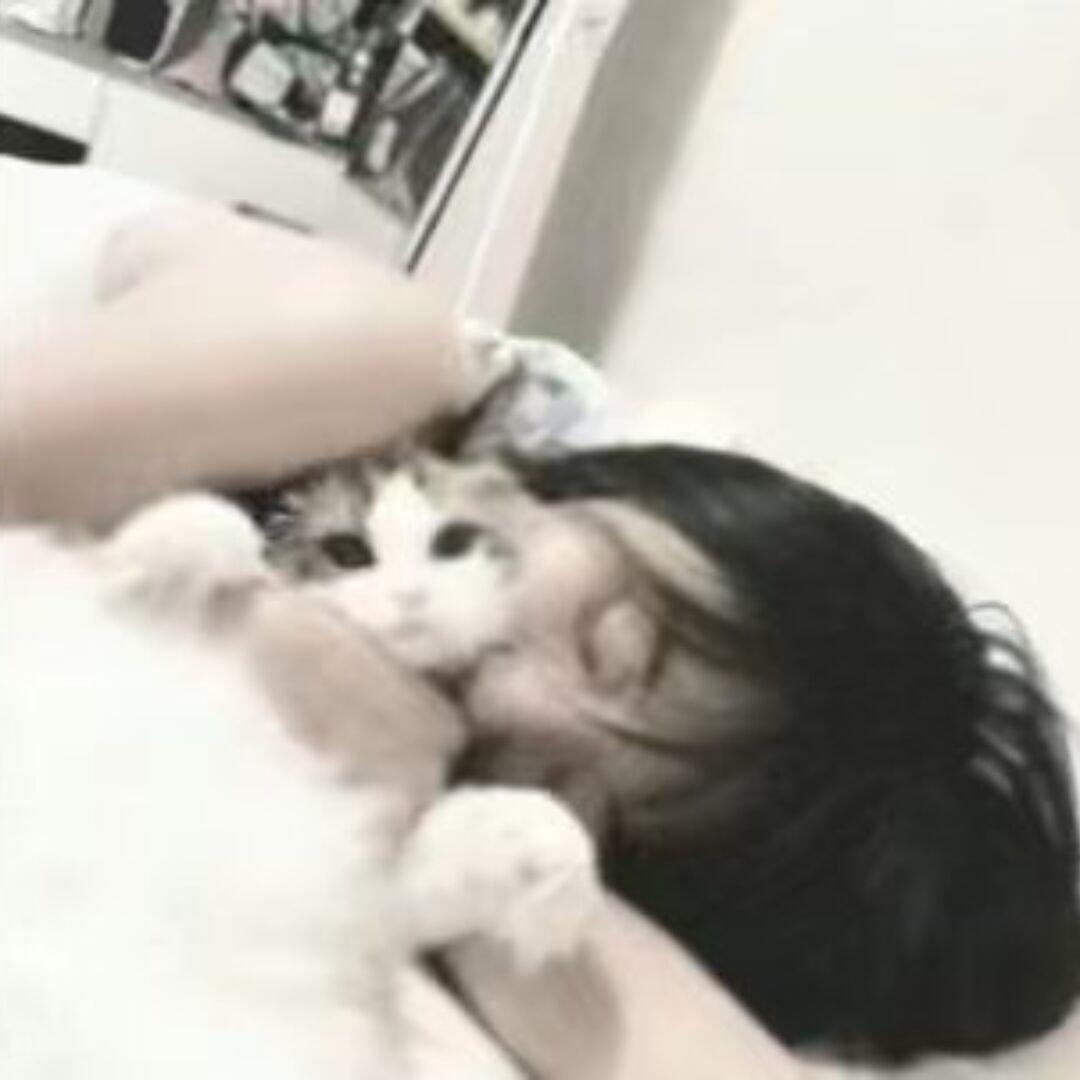 我的秘密是喜欢你