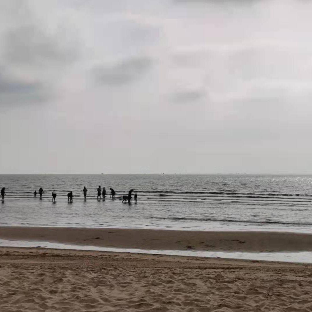 漂洋过海封面