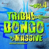 Tribal Bongo Massive, Vol. 4