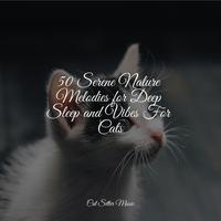 50 Serene Nature Melodies for Deep Sleep and Vibes For Cats