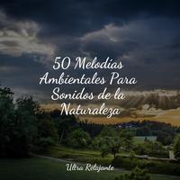 50 Melodías Ambientales Para Sonidos de la Naturaleza