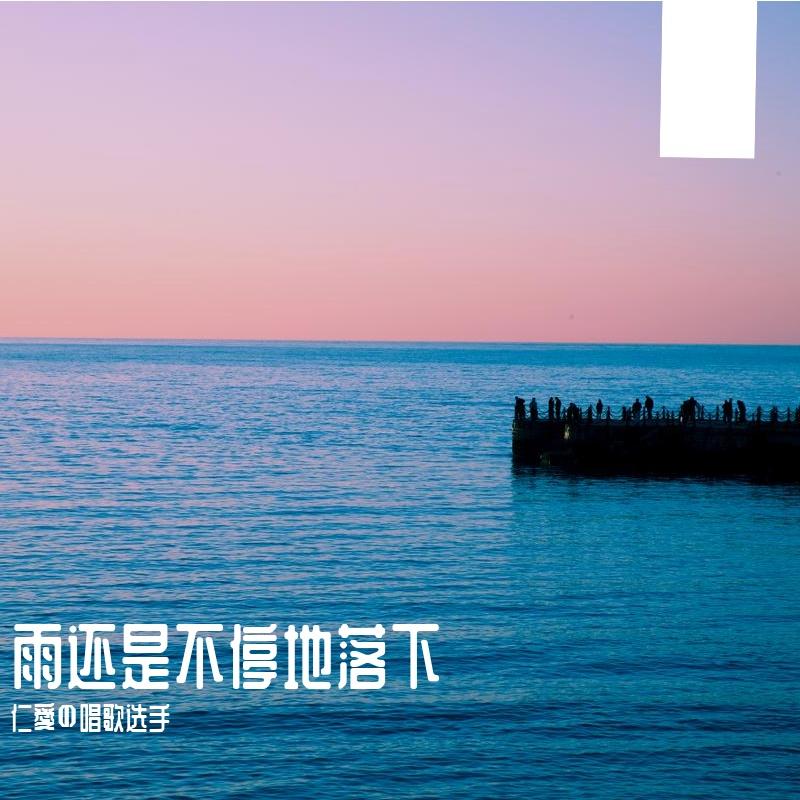 雨还是不停的落下封面