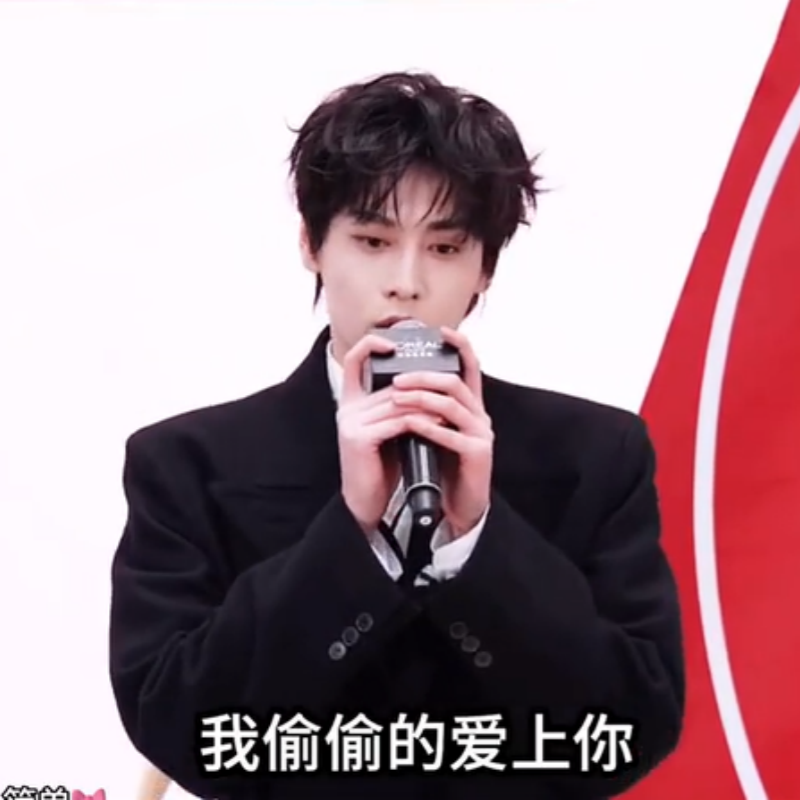 我偷偷的爱上你 雷朋