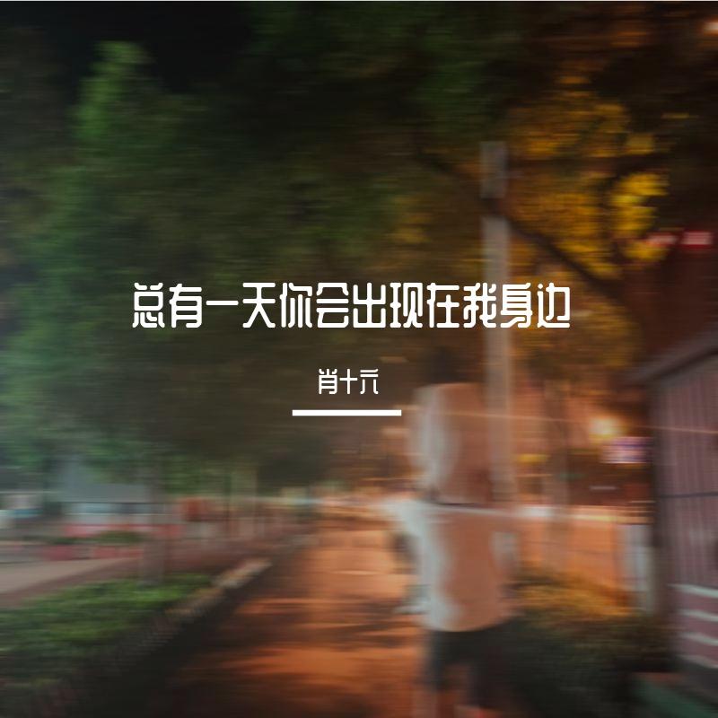 总有一天你会出现在我身边封面
