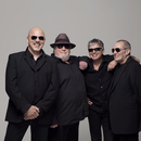 The Stranglers