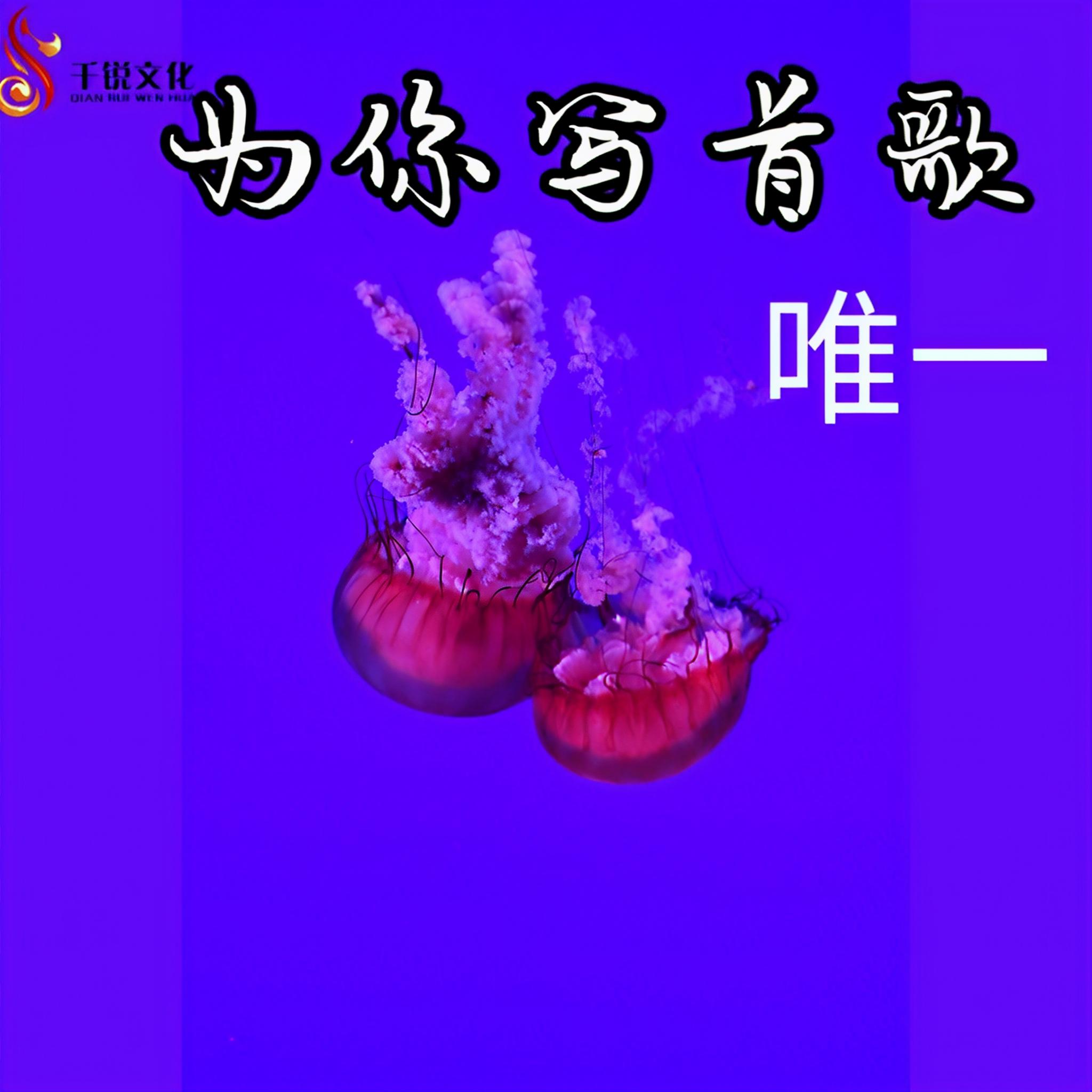 一兮一唯一封面