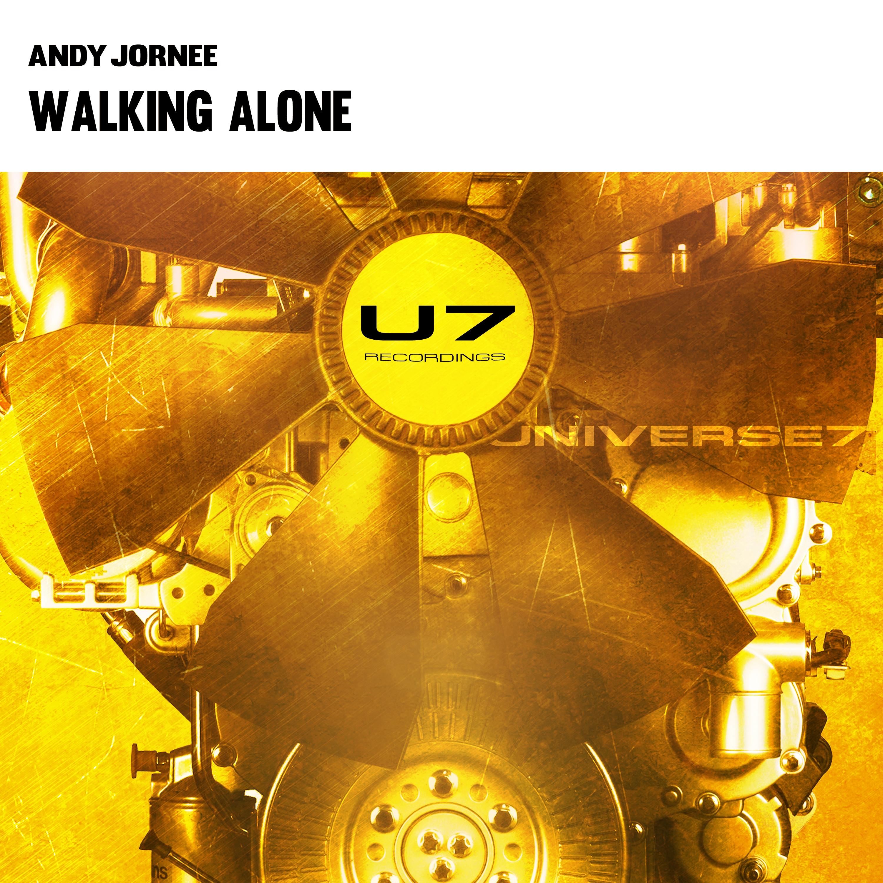 Walking Alone (Original Mix) Andy Jornee 单曲 网易云音乐