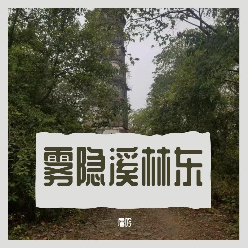 雾隐西林东MIX封面