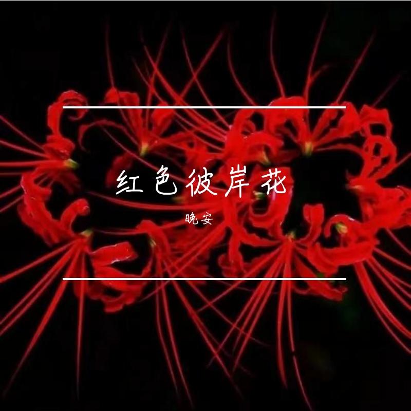 染红了彼岸花封面