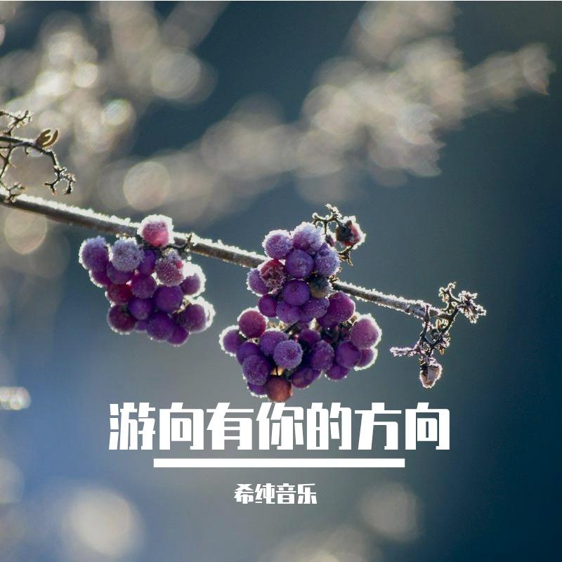 游向有你的方向 - 希纯音乐封面