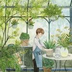 惊鸿