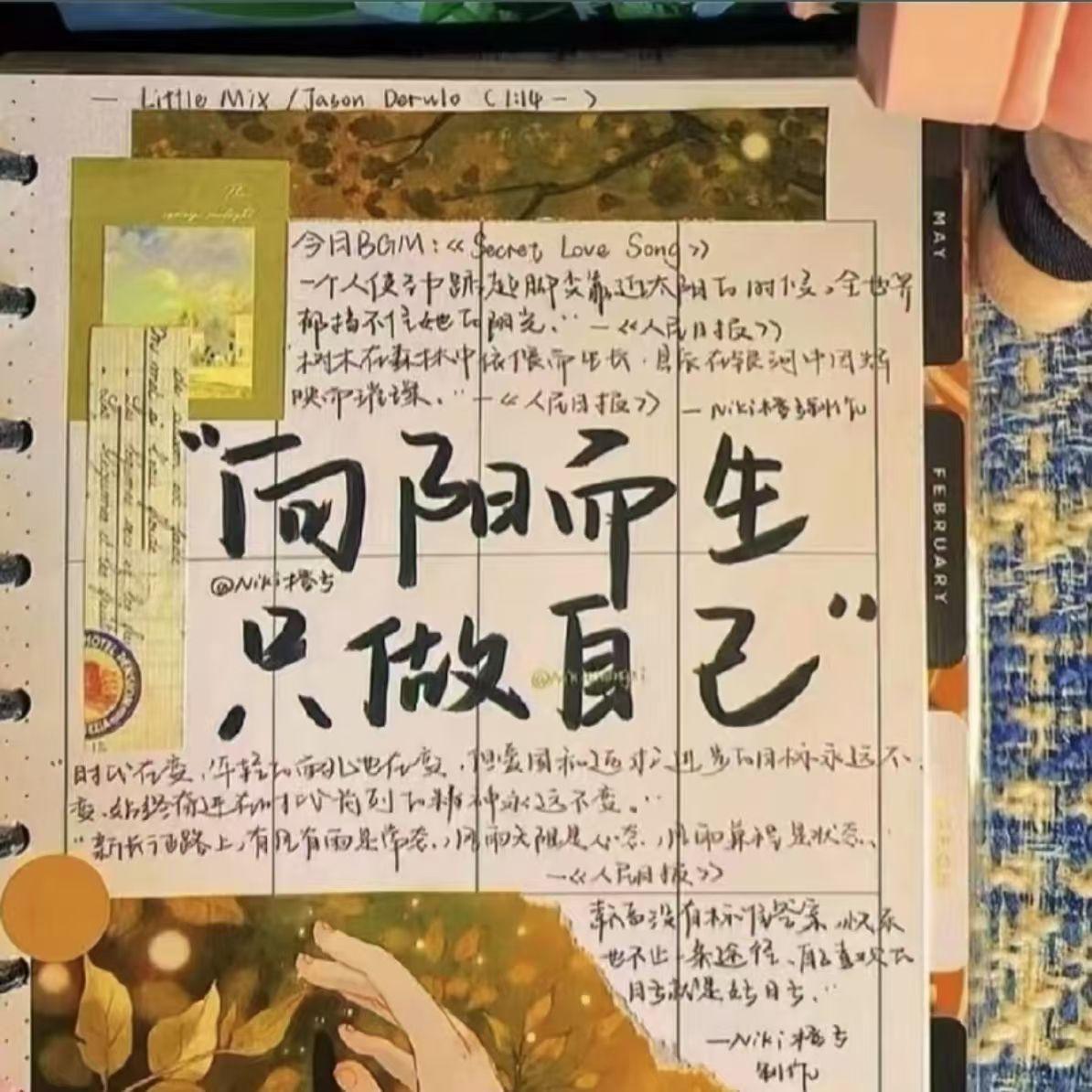 青春抛物线 - 园园封面