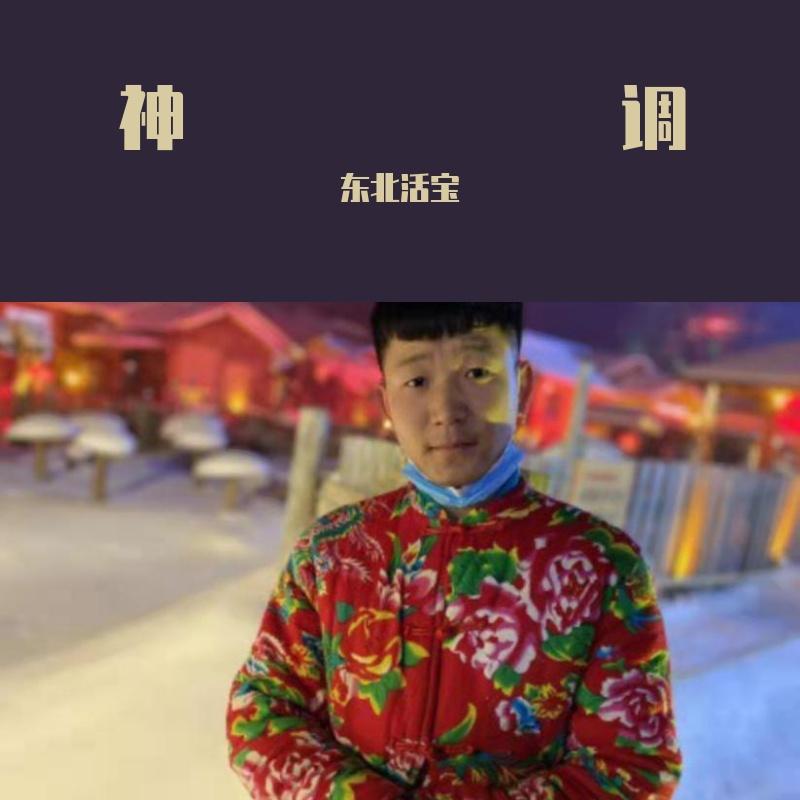 神调 - 东北活宝封面