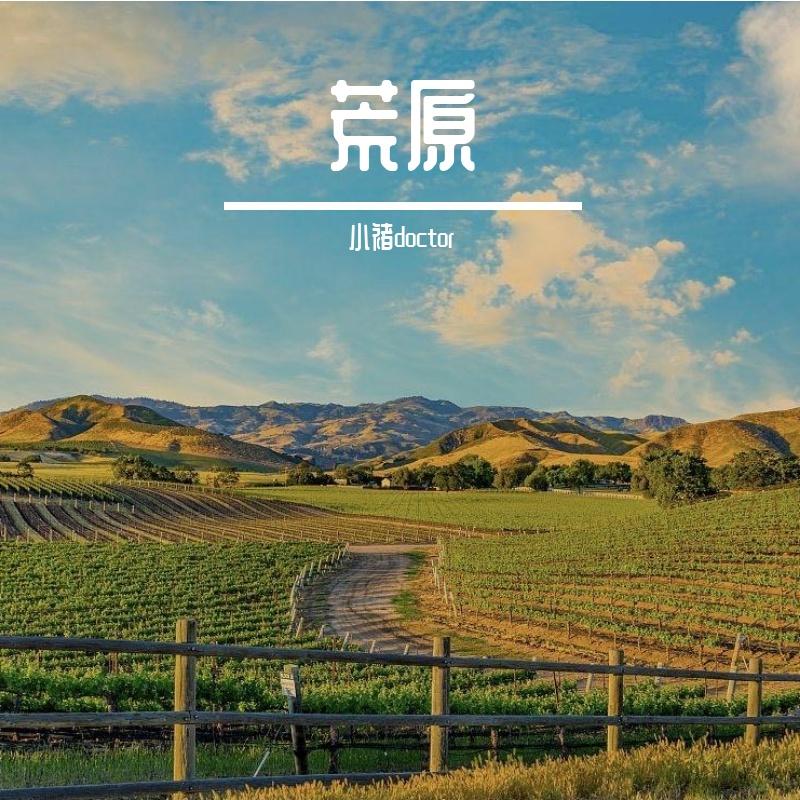 荒原 伴奏 - 小褚doctor封面