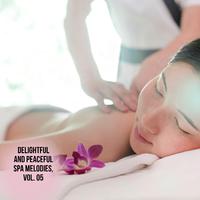 Delightful and Peaceful Spa Melodies, Vol. 05