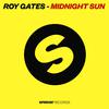 Roy Gates - Midnight Sun (2Nefuse Mix)