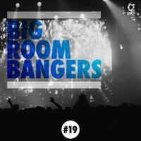 Big Room Bangers, Vol. 19