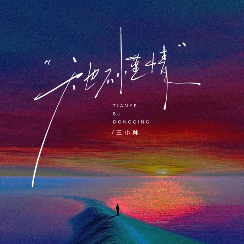 天也不懂情 - 王小帅封面