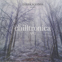 Chilltronica No.3