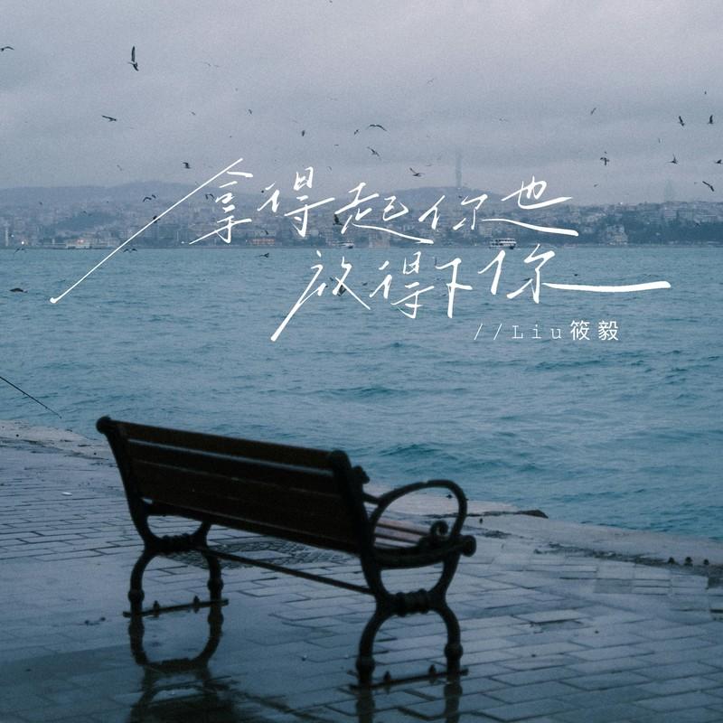 拿得起你也放得下你 (烟嗓版)封面
