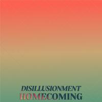 Disillusionment Homecoming