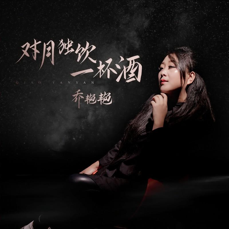 对月独饮一杯酒封面
