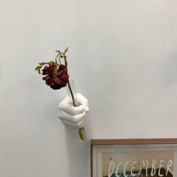 我真的不想学会骗自己封面