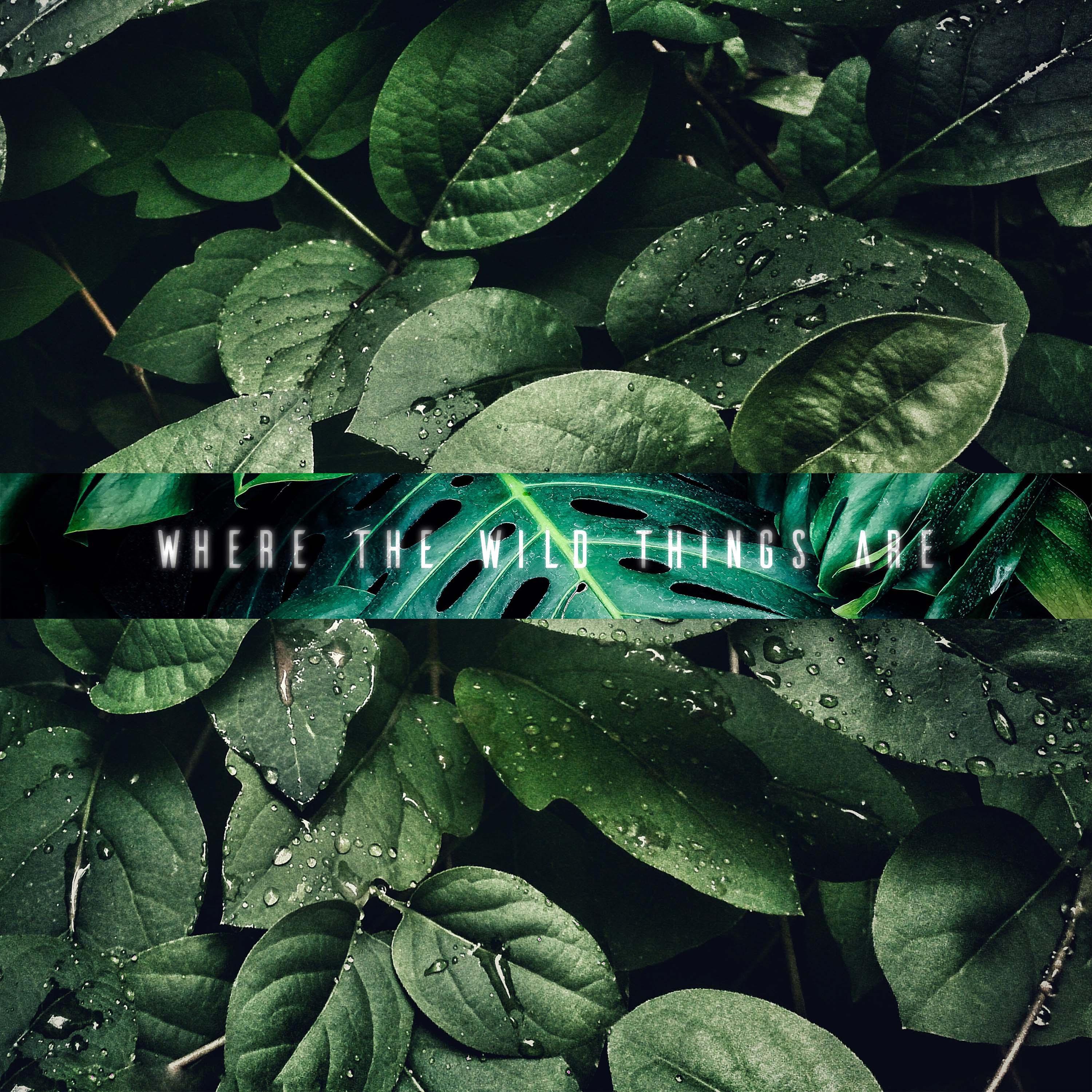 WHERE THE WILD THINGS ARE