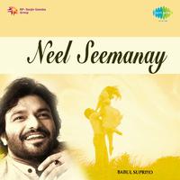 Neel Seemanay