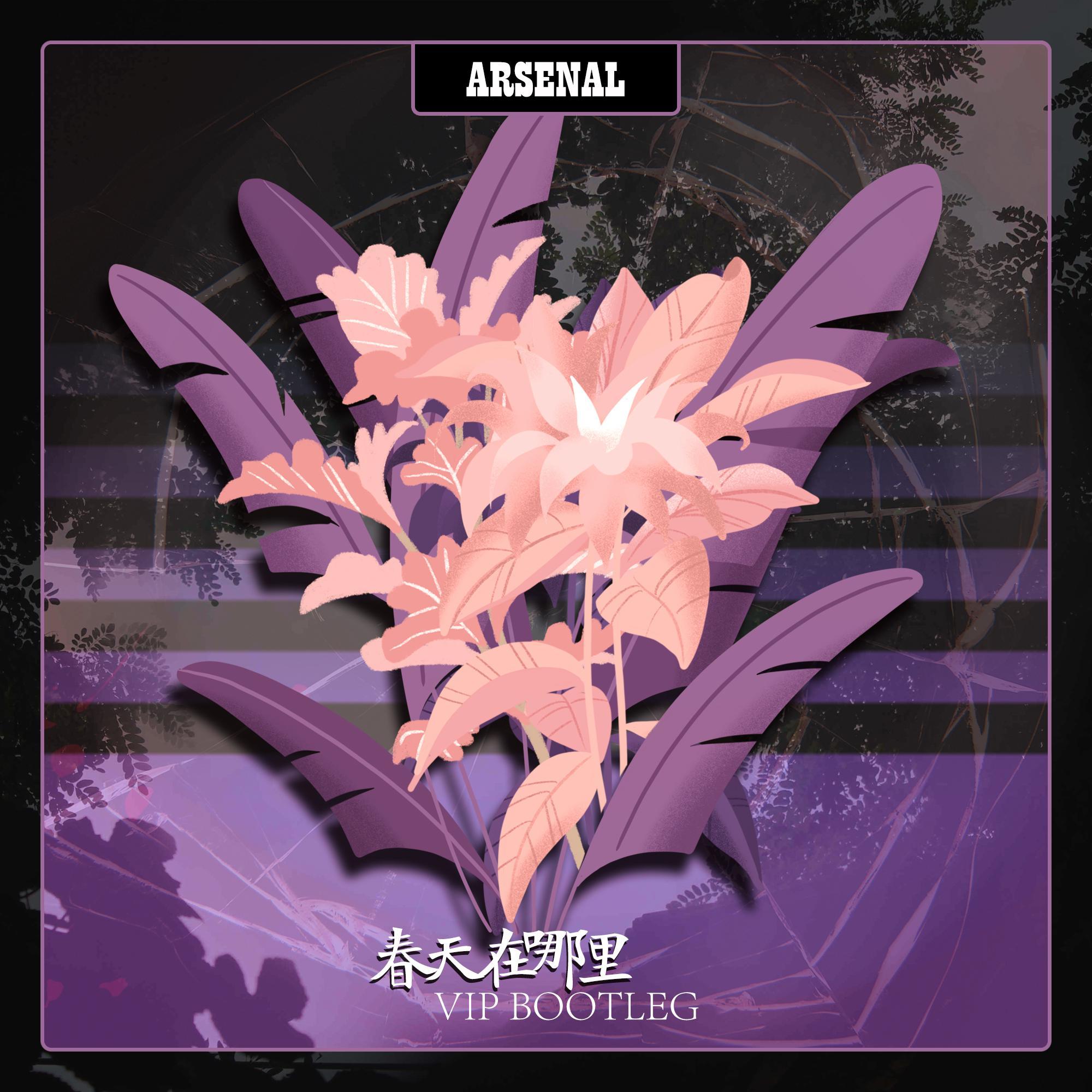 小蓓蕾组合-春天在哪里（ARSENAL BOOTLEG）（ARSENAL remix）