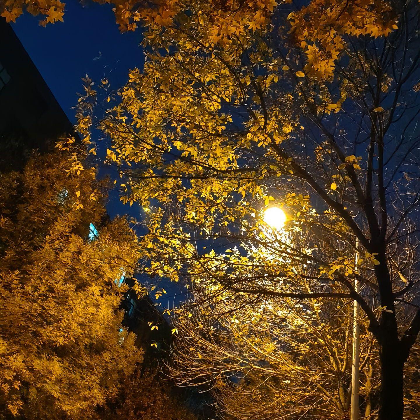 乱世书(轻雪藏不住 眉间风华)封面
