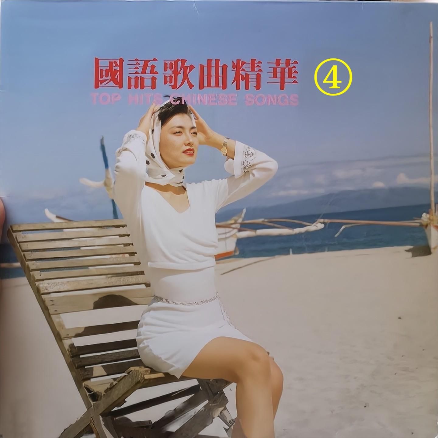 相见不恨晚封面