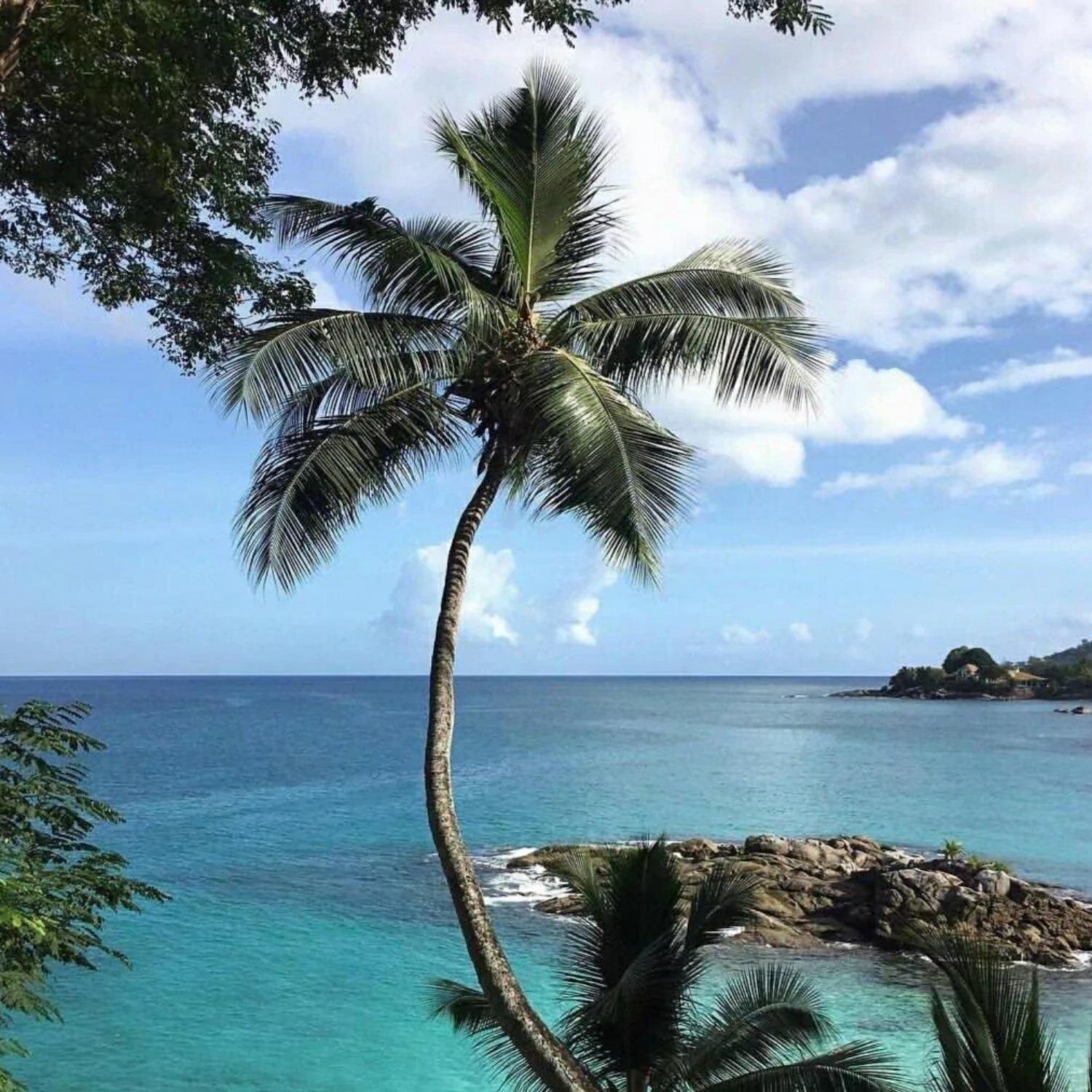 The_truth_that_you_leave