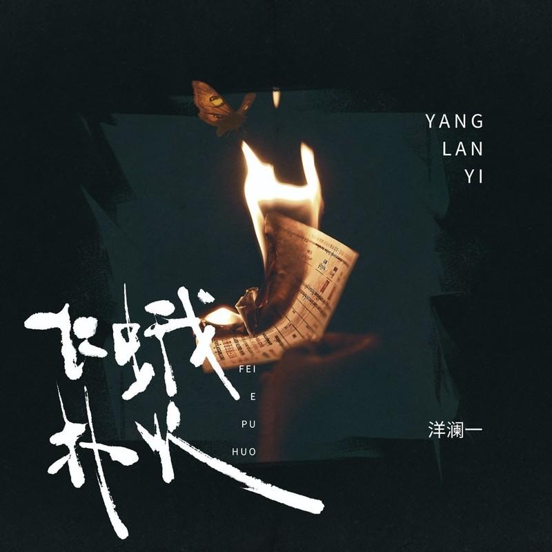 飞蛾扑火封面