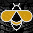 The Molsbees