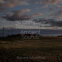 30 Complete Relaxation & Ambient Sounds