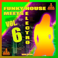 Funky House Meets Electro, Vol. 6