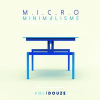 Micro Minimalisme Vol. Douze