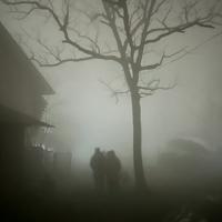 小陌不聪明