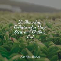 50 Marvelous Collection for Deep Sleep and Chilling Out