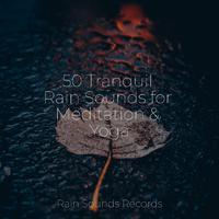 50 Tranquil Rain Sounds for Meditation & Yoga