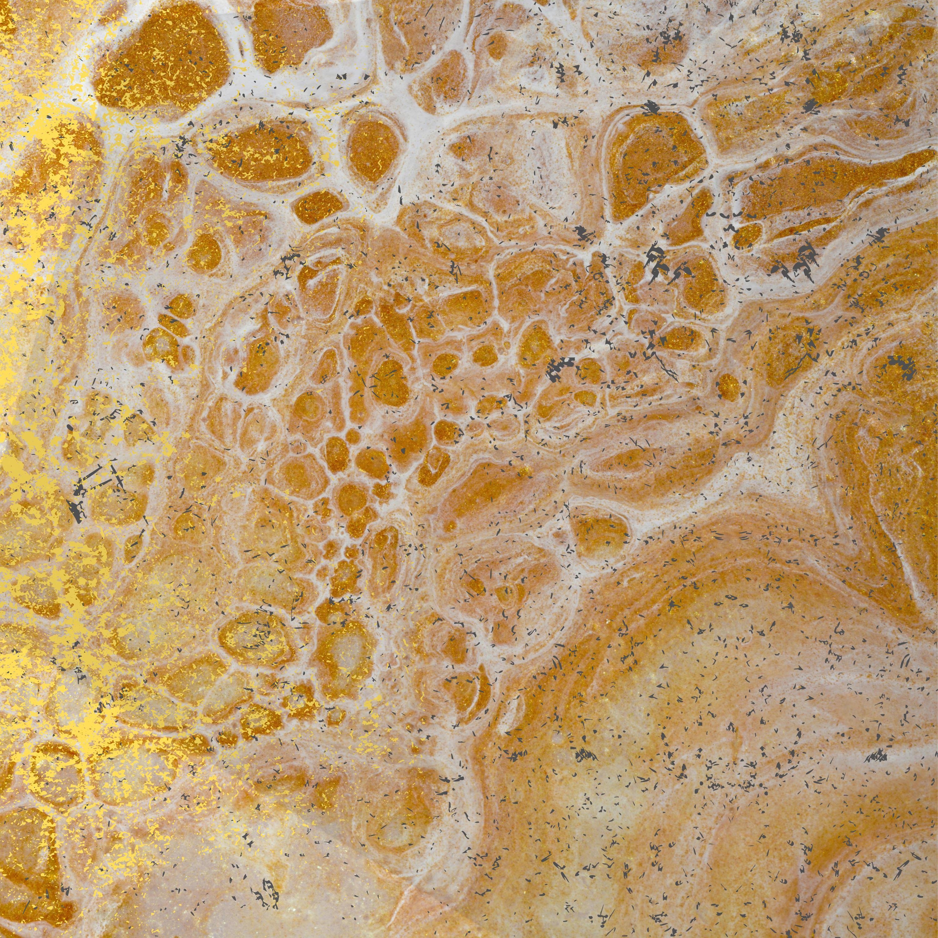 Fool's Gold (feat. Sad Moses) (Vocal Version)