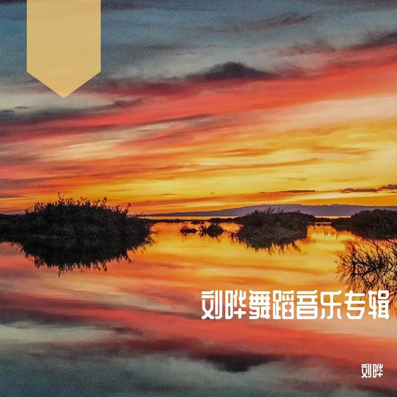 梦会开花的地方封面