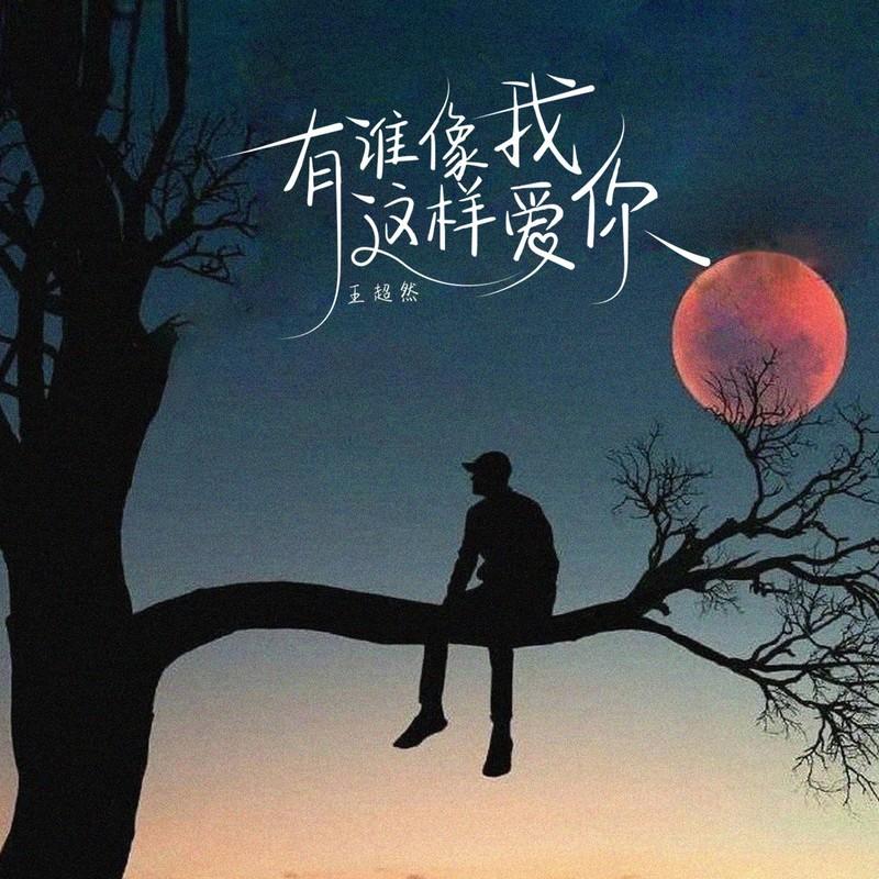 有谁像我这样爱你封面